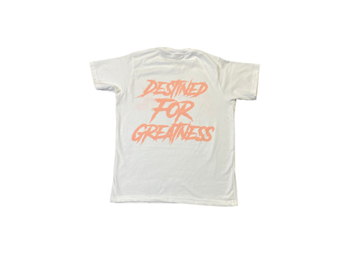 Empyreal Tee (Salmon pink)