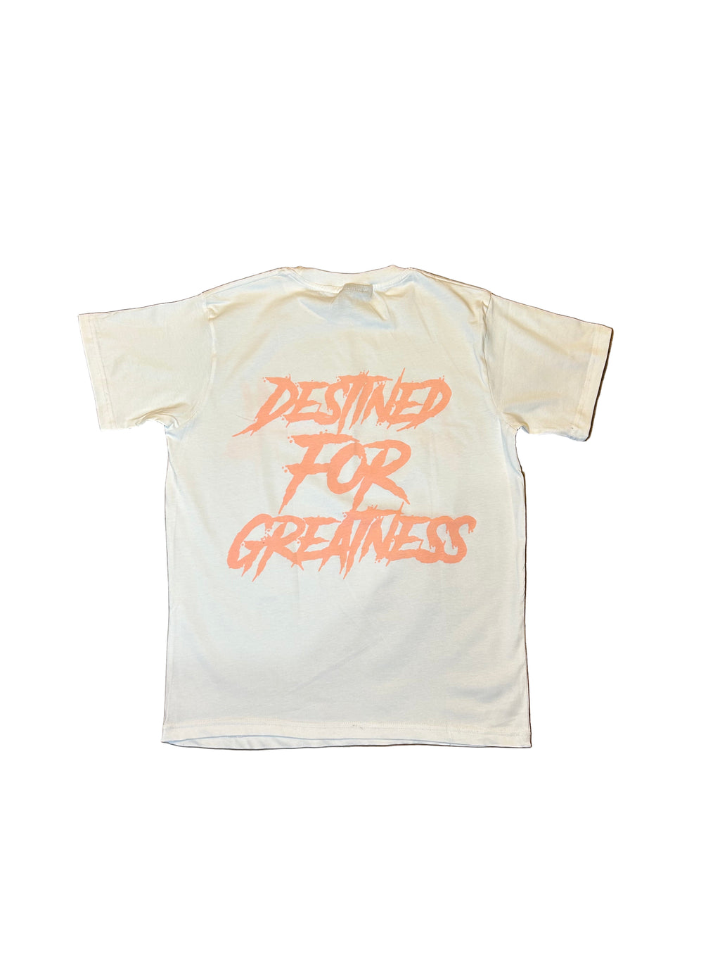 Empyreal Tee (Salmon pink)