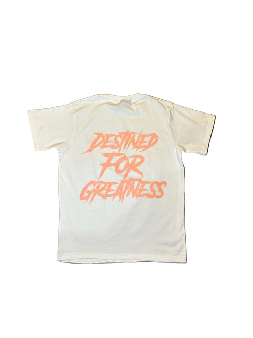 Empyreal Tee (Salmon pink)